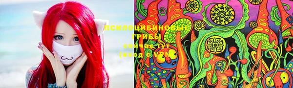 каннабис Каменка